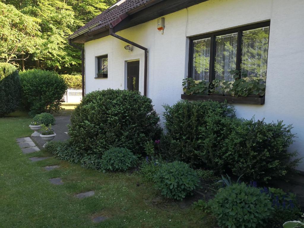 Ubytování u Máchova jezera - Apartmány - Ludmila Grulišová room 3