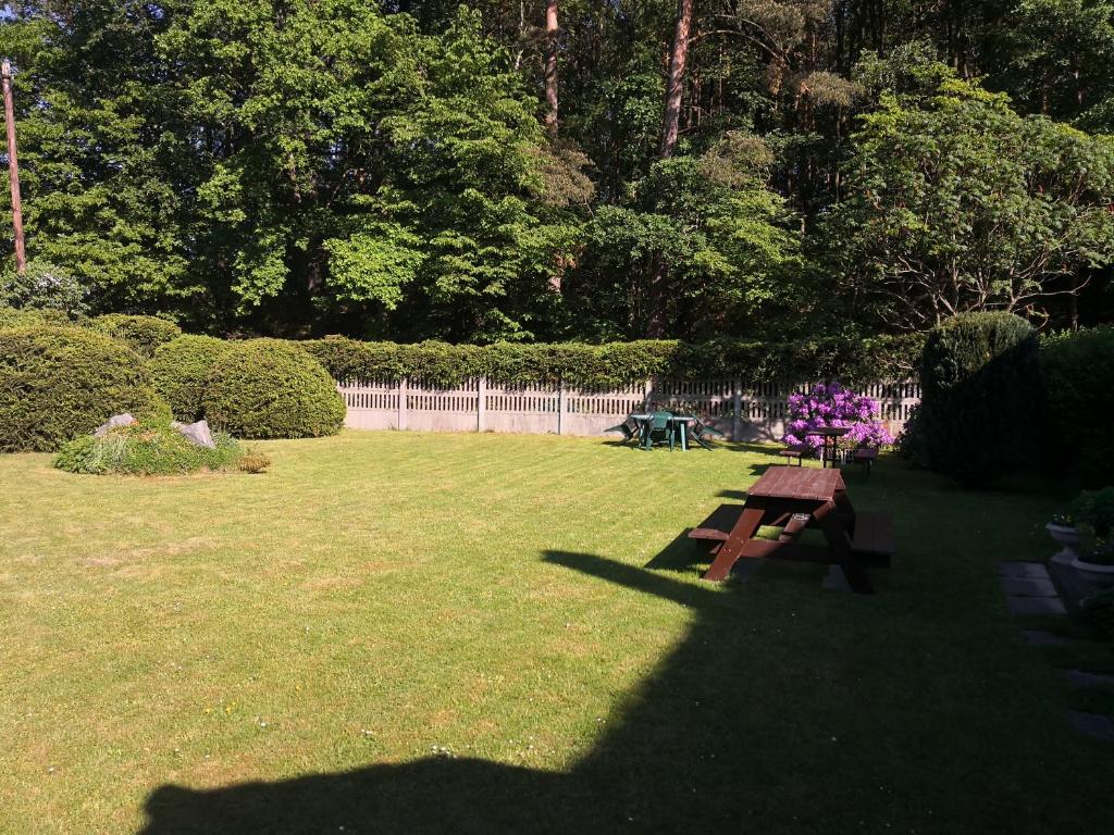 Ubytování u Máchova jezera - Apartmány - Ludmila Grulišová room 4